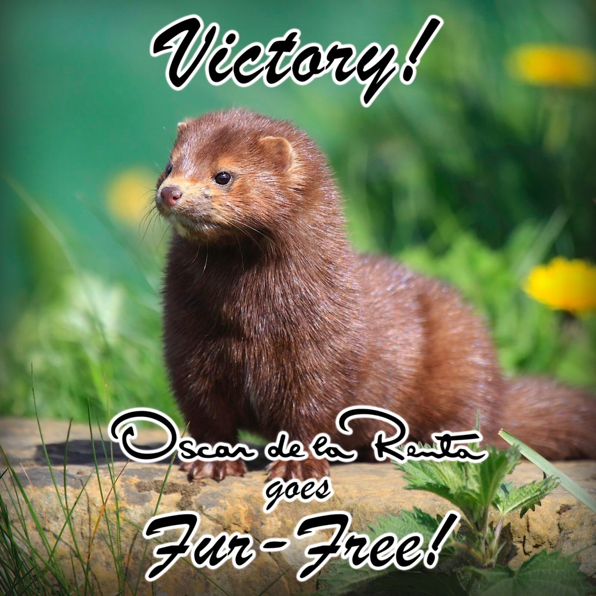VICTORY! Oscar de la Renta is going fur free!