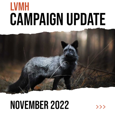Campaign Update – November 2022