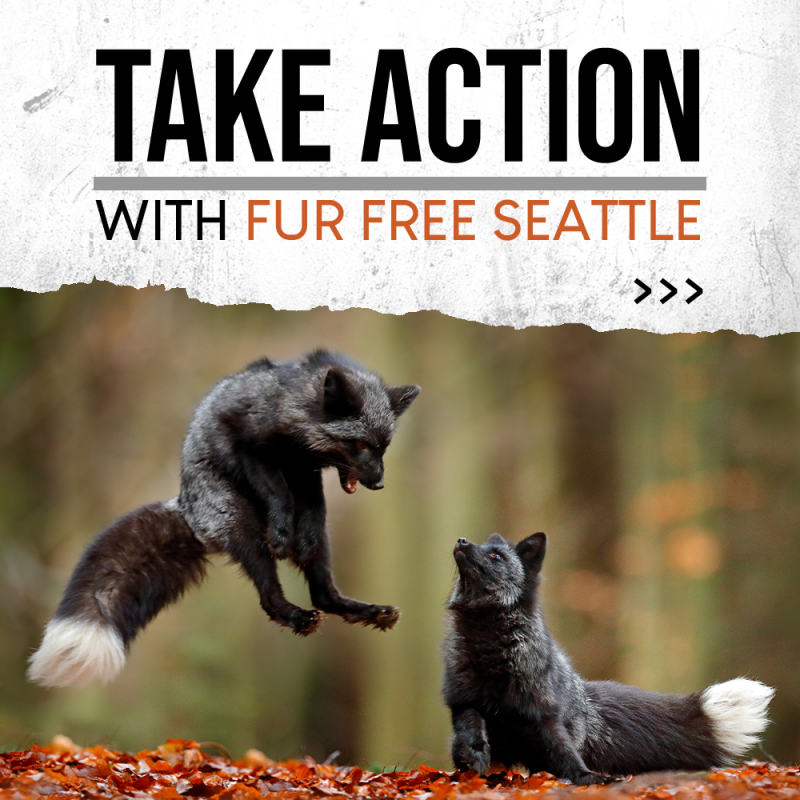 SUPPORT THE SEATTLE FUR-BAN