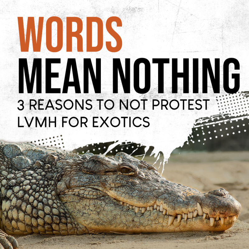 3 reasons to not protest LVMH for exotic skins